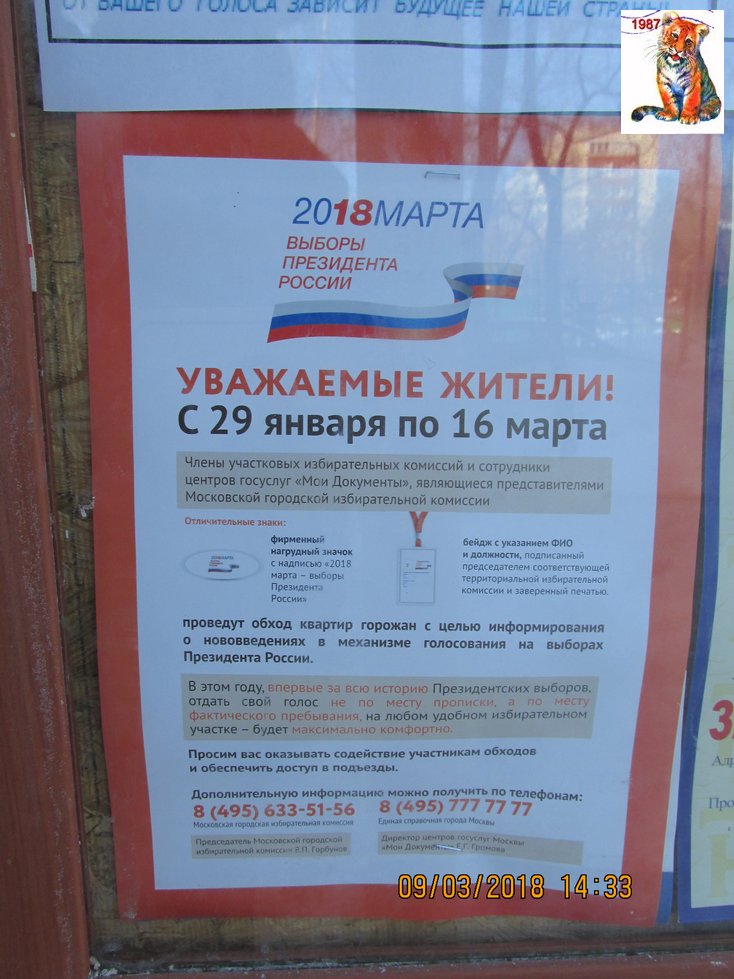 vibor2018_10.jpg
