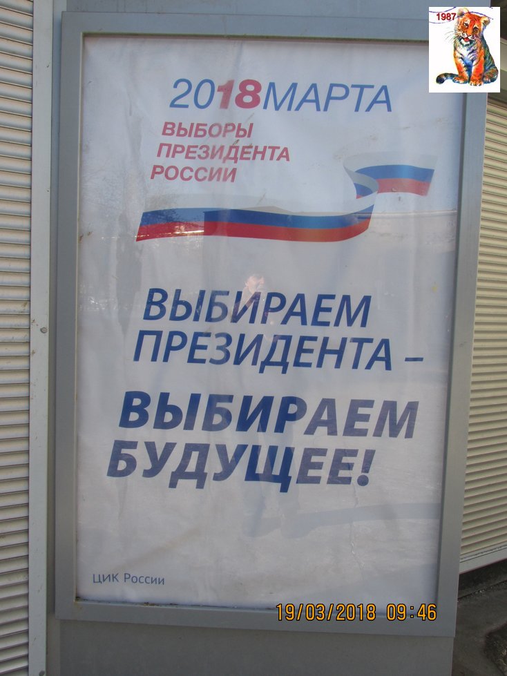 vibor2018_101.jpg