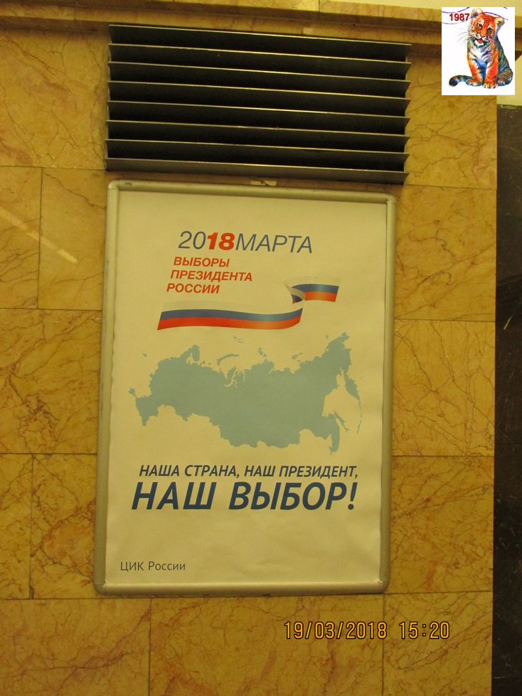 vibor2018_103.jpg