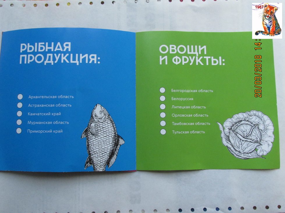 vibor2018_119.jpg