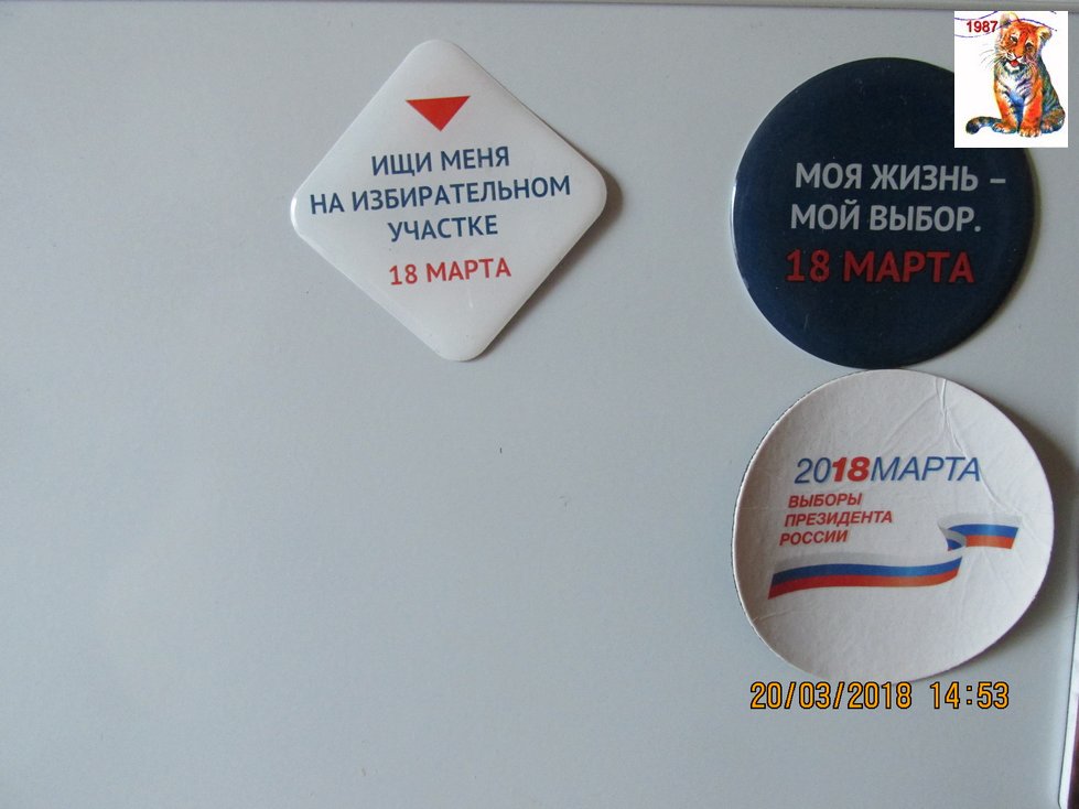 vibor2018_123.jpg