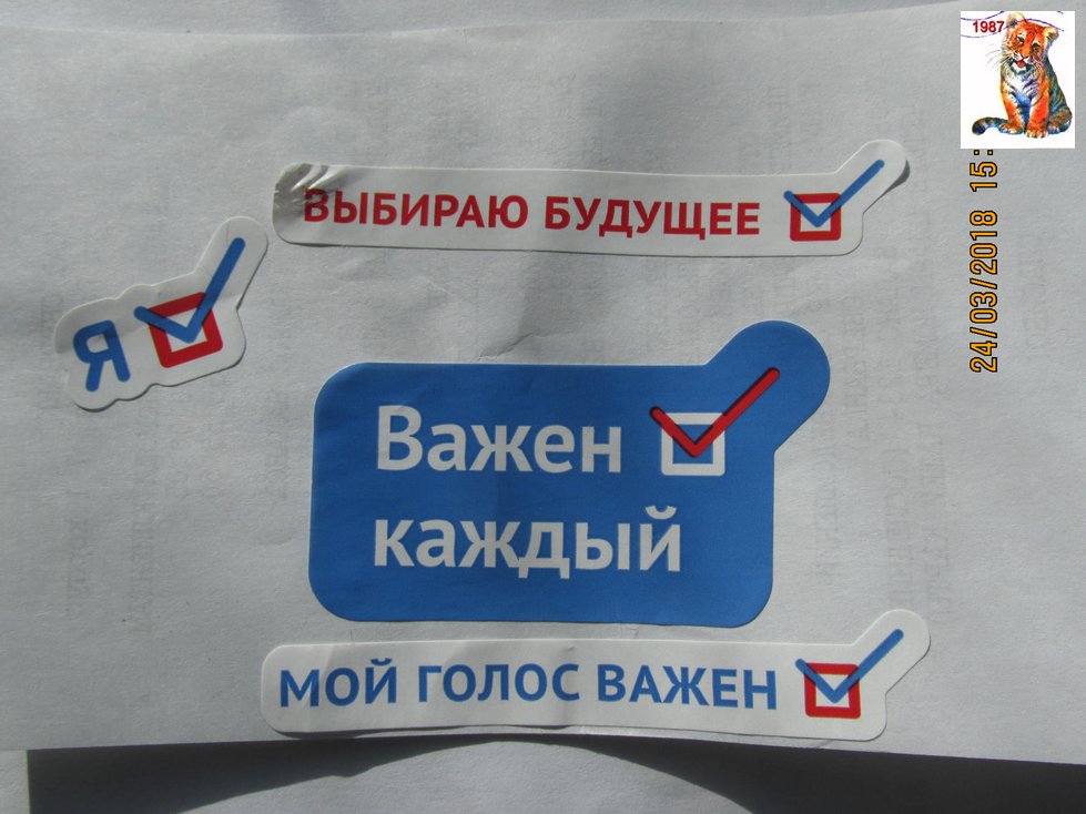 vibor2018_125.jpg