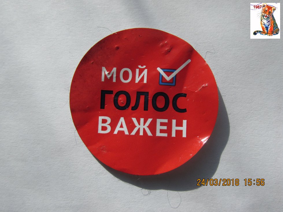 vibor2018_126.jpg