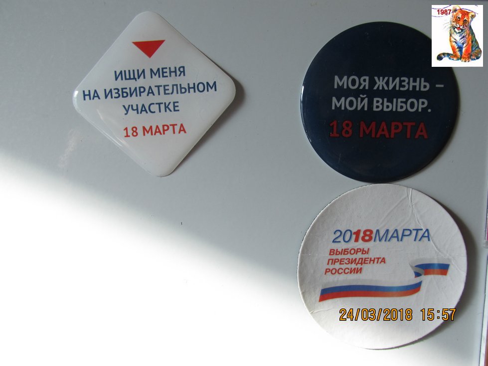 vibor2018_130.jpg
