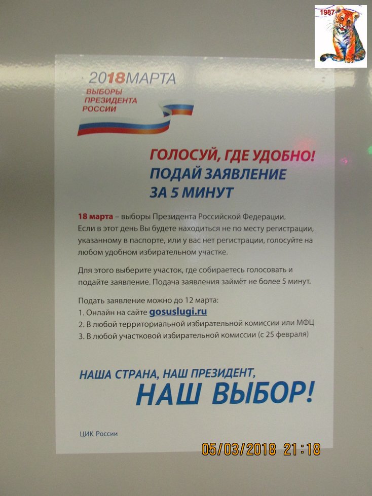 vibor2018_133.jpg
