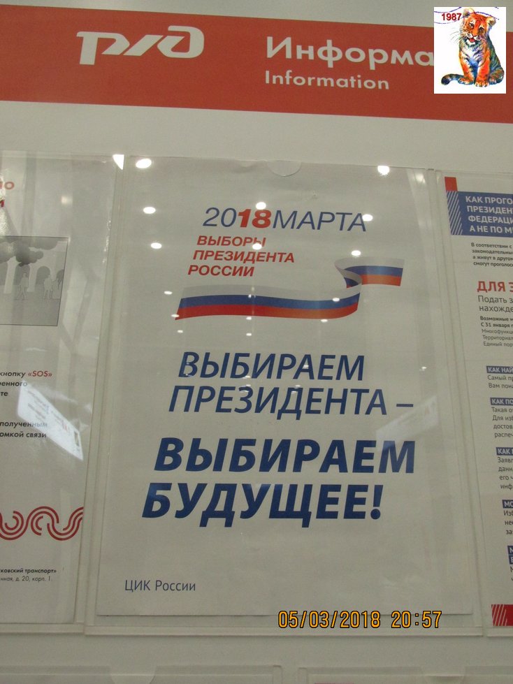 vibor2018_137.jpg