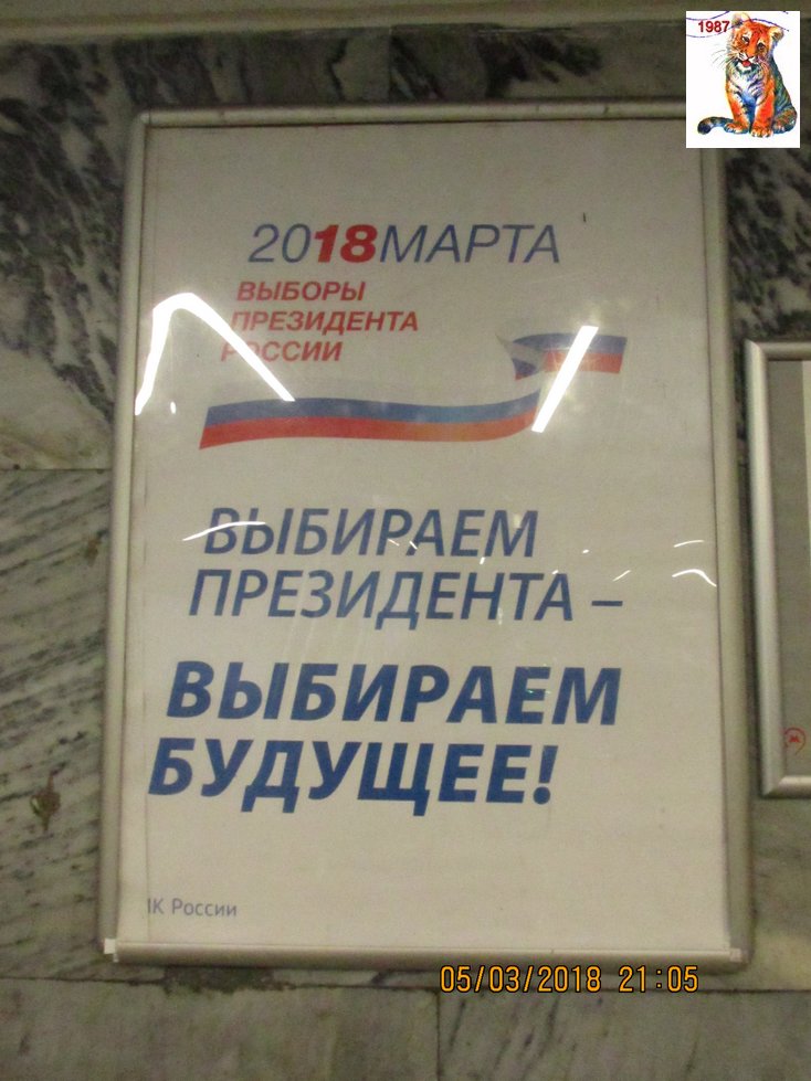 vibor2018_139.jpg