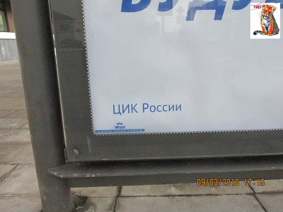 vibor2018_17.jpg