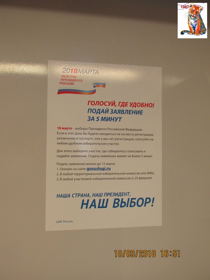 vibor2018_29.jpg