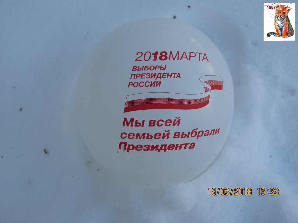 vibor2018_31.jpg