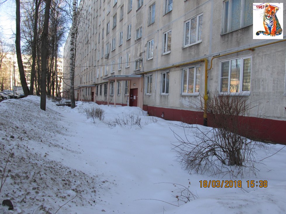vibor2018_43.jpg