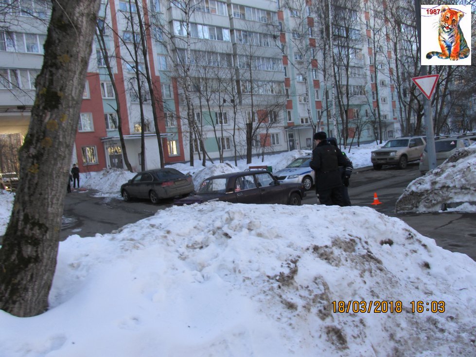 vibor2018_69.jpg
